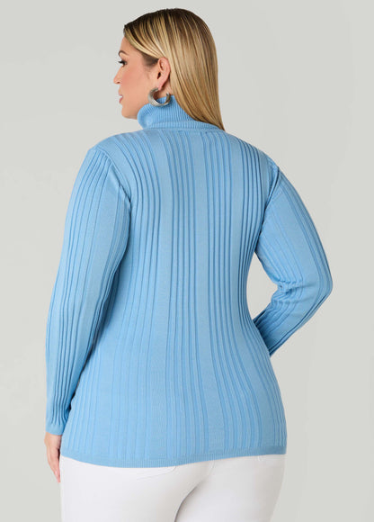 Pullover Turtleneck Sweater