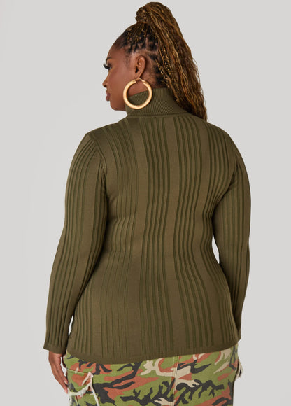 Turtleneck Ribbed Knit Sweater