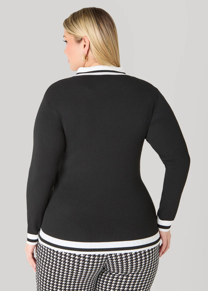 Striped Polo Sweater