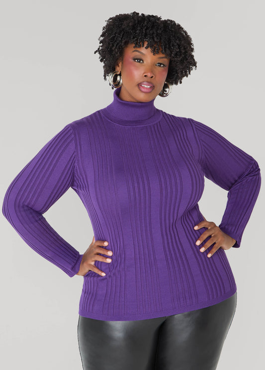 Ribbed Turtleneck Pullover Sweater