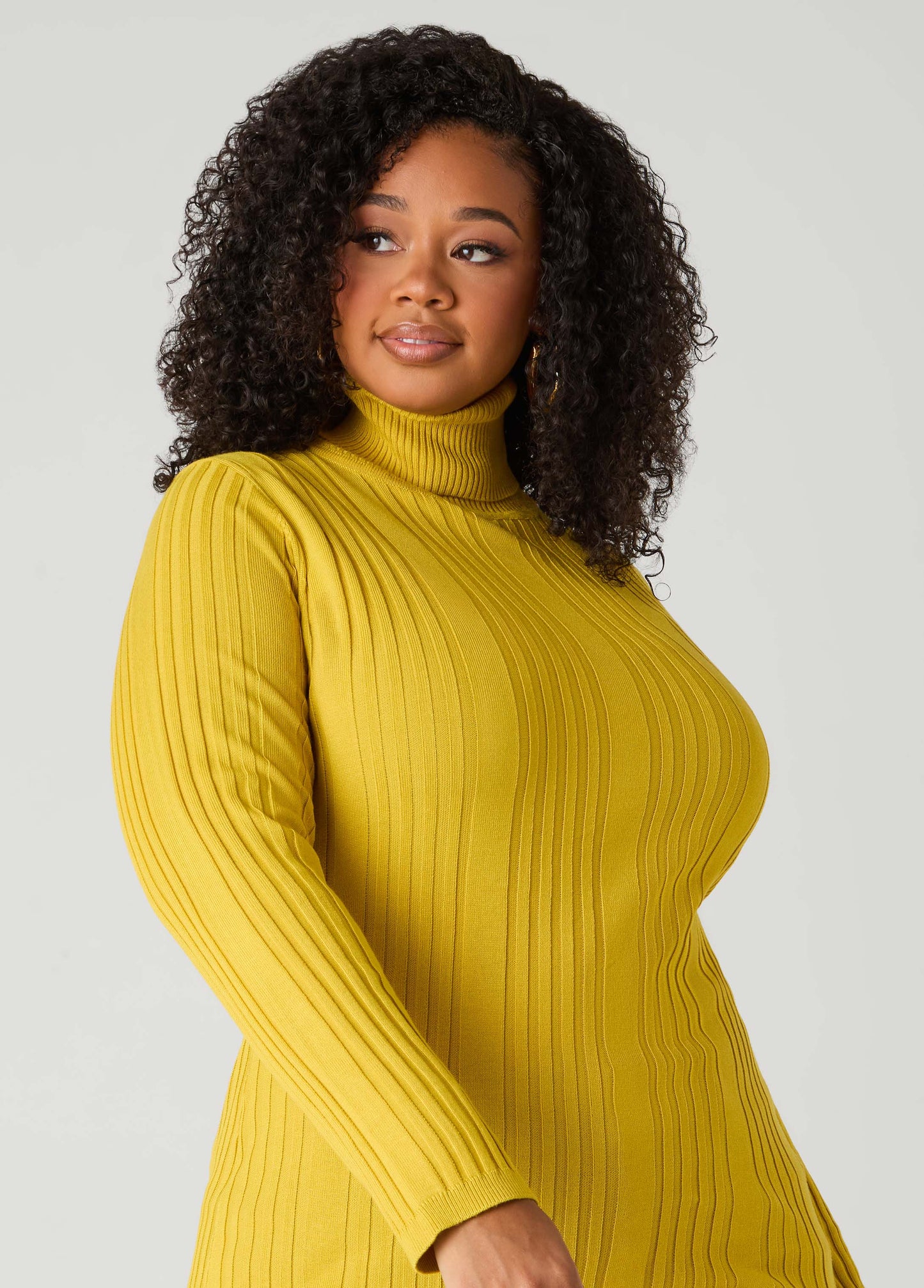 Pullover Turtleneck Sweater
