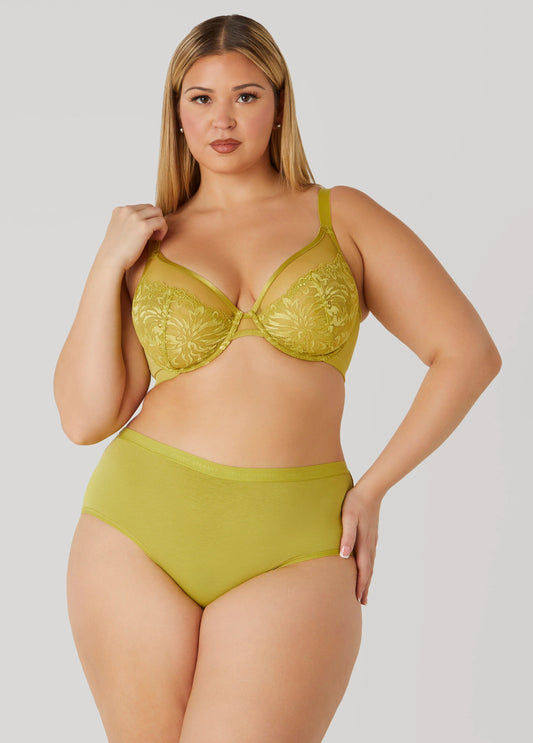 Lace And Mesh Underwire Bra